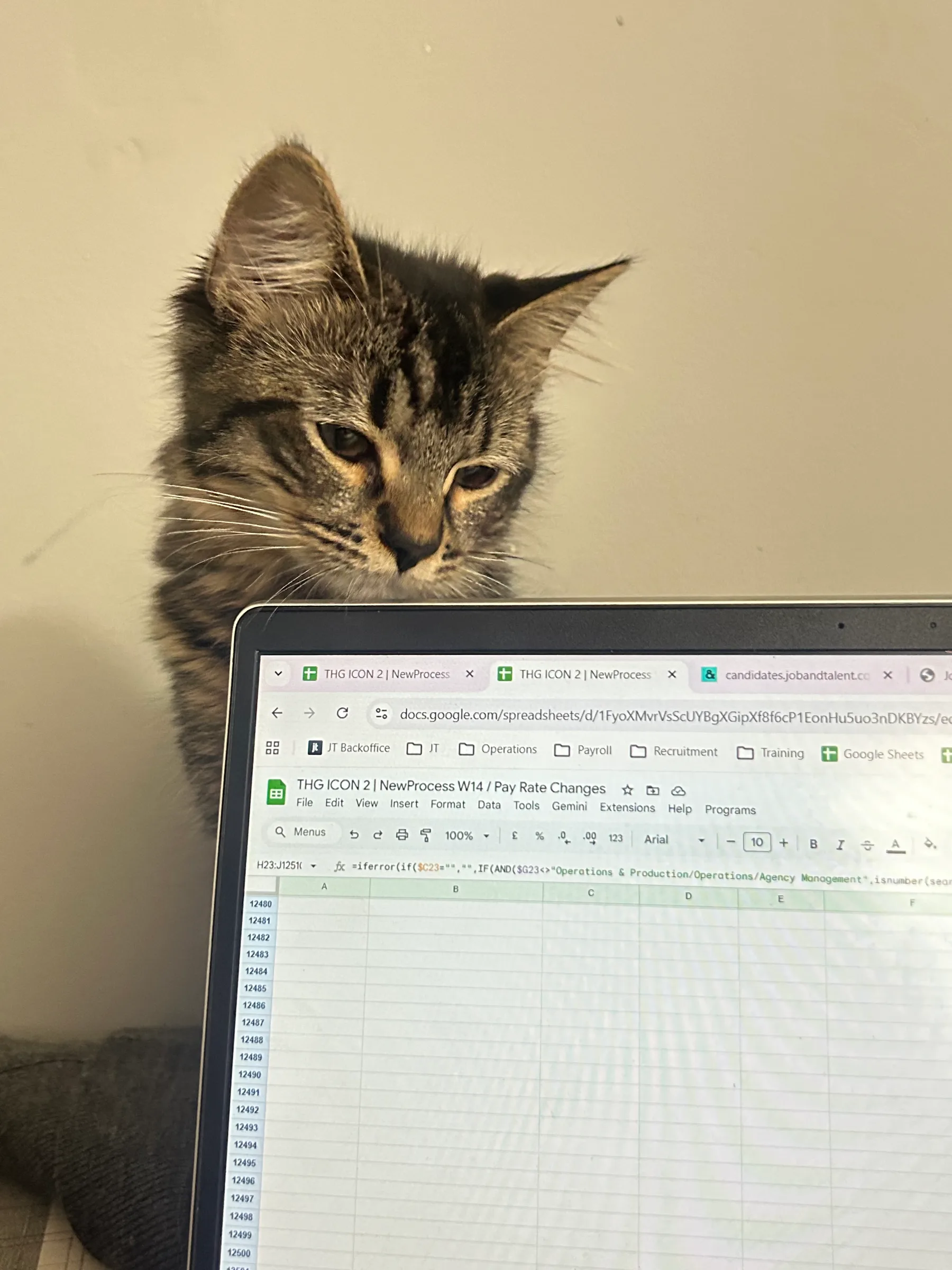 Конфитюр от горски плодове — 320 г